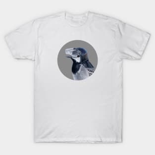 White wagtail T-Shirt